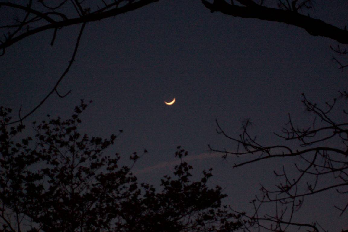 [ Dusk, old house, Chappaqua NY, 10 May 2005 ]